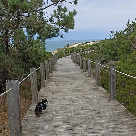 Apartment Tinyhouse Tilda - Near Famous Beaches