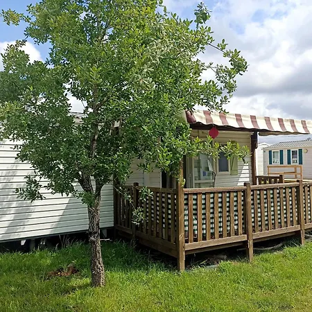 Tinyhouse Tilda - Near Famous Beaches Daire